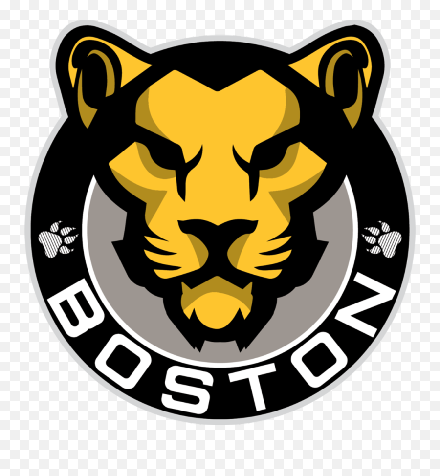 Boston Bruins Announce New Partnership - Boston Pride Nwhl Emoji,Boston Bruins Logo