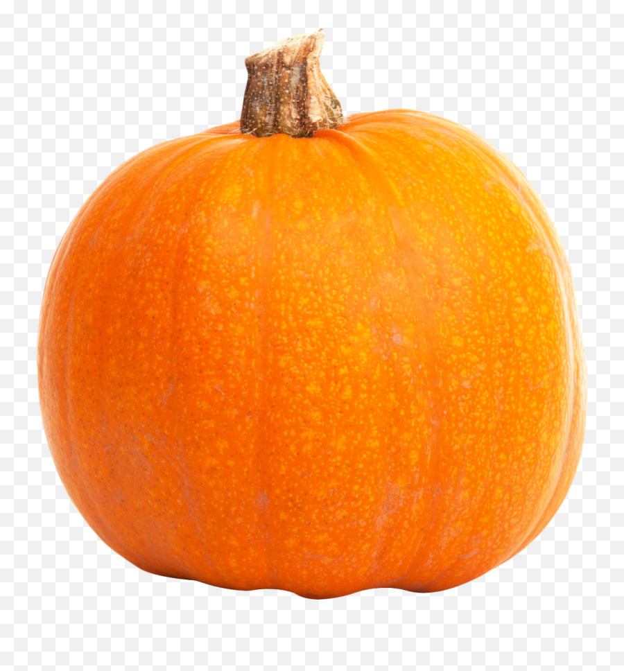 Pumpkin Png Fresh Pumpkin Png Image - Hd Pumpkin Emoji,Pumpkin Png