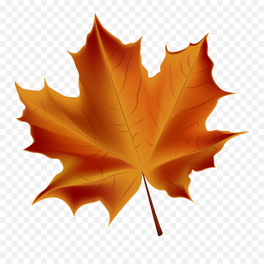 Leaves Clipart Autumn Leaves Picture - Transparent Background Autumn Leaf Clipart Emoji,Fall Leaves Clipart