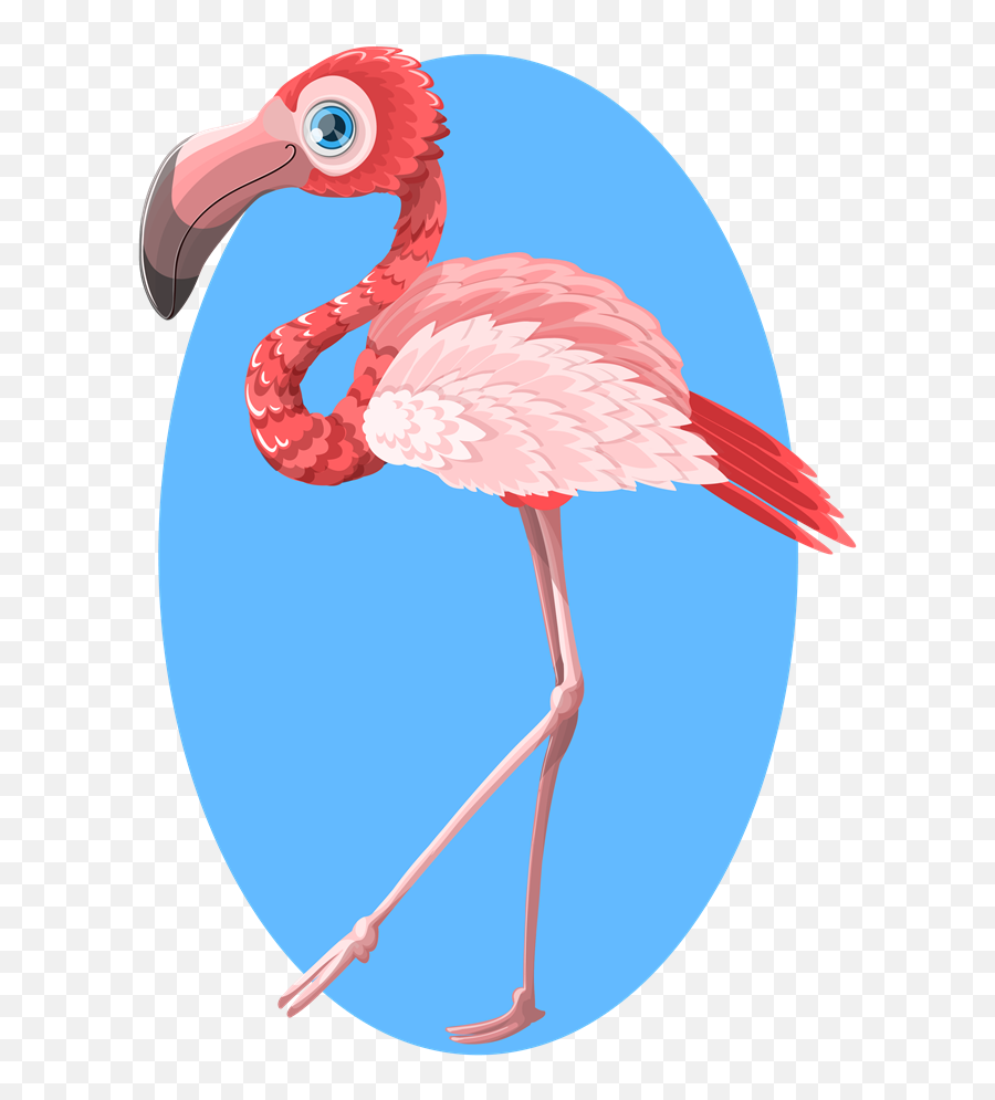 Flamingo Clipart Swimming - Clip Art Emoji,Flamingo Clipart