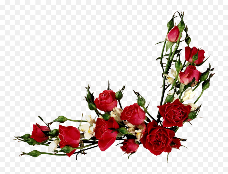 Rose Flower Vector Png Transparent Png Emoji,Vintage Roses Png