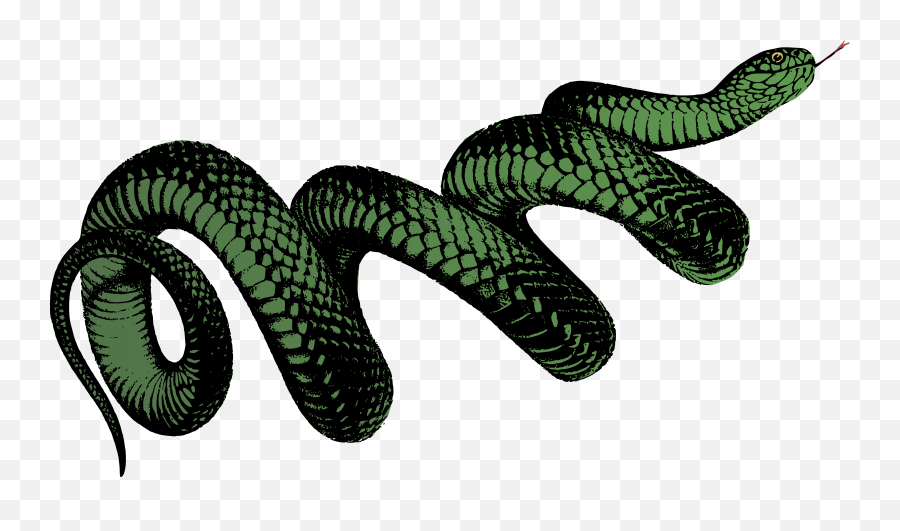 Snake Png Svg Clip Art For Web - Transparent Green Snake Png Emoji,Snake Clipart