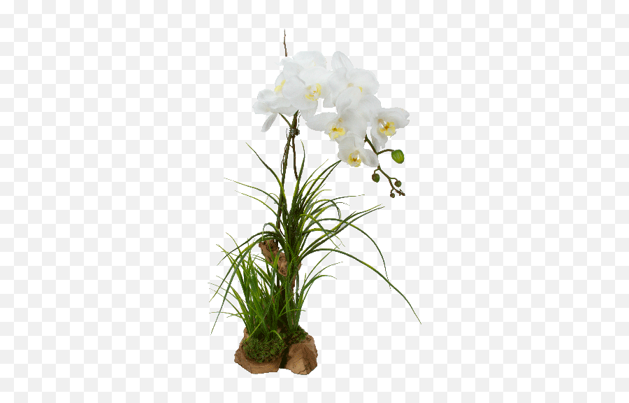 Artificial Orchid Double White - White Orchid Flowers Png Hd Artificial Aquarium Plant Emoji,Orchid Clipart