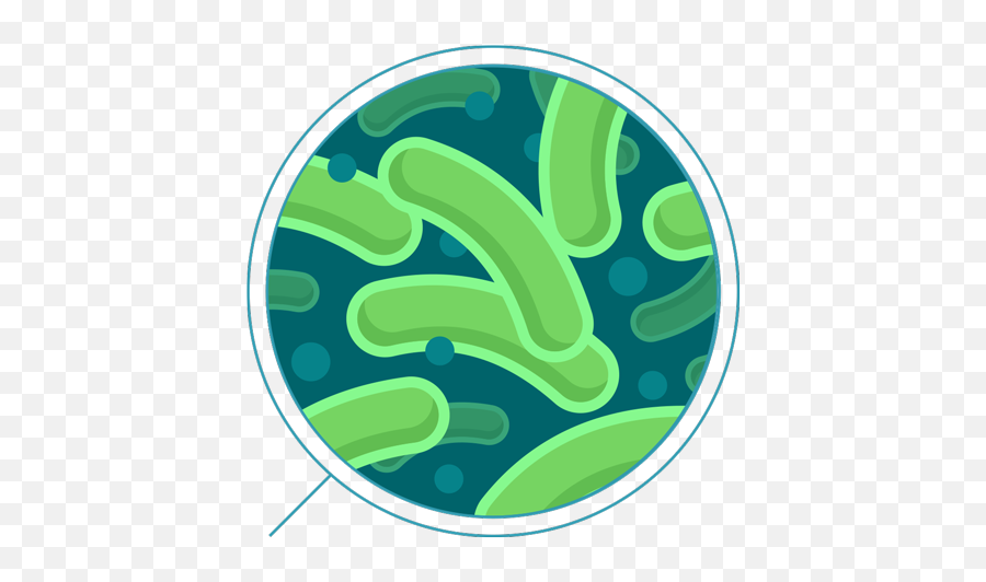 Independent Lab Water Tests For Home And Business - Coliform Bacteria Emoji,Bacteria Png