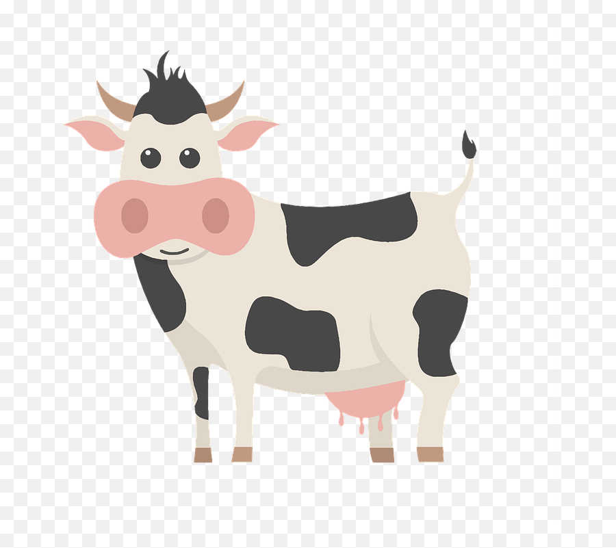 Cow Dairy Cattle - Free Image On Pixabay Emoji,Calf Clipart
