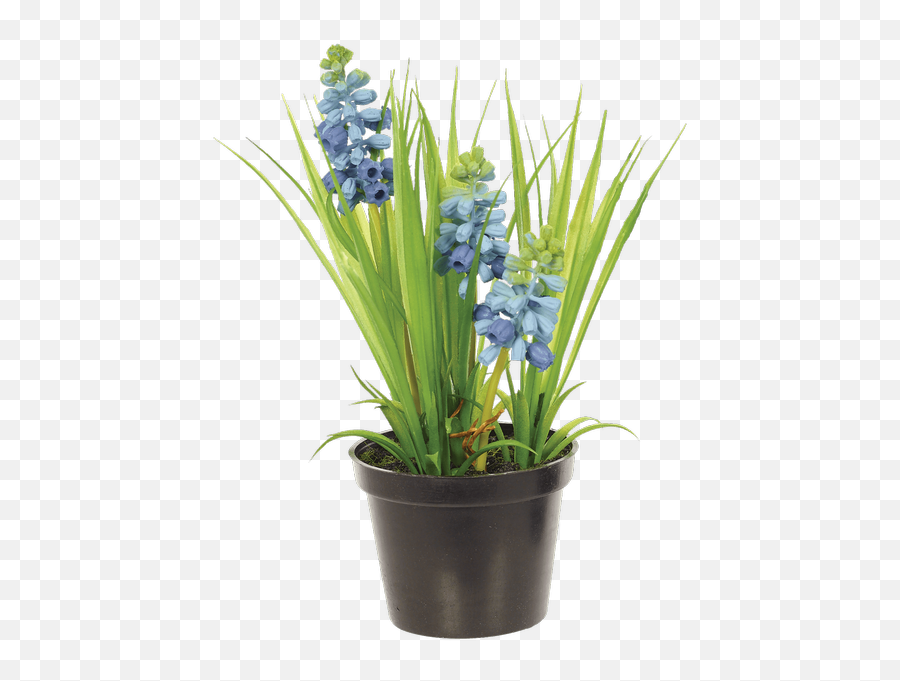 Silk Hyacinth Bush In Planter Blue Connells Maple Lee Emoji,Flower Bush Png