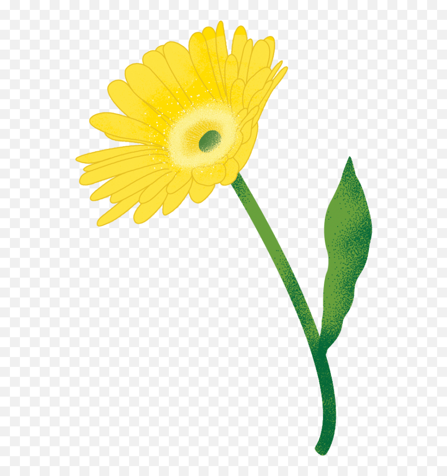 Mom - Approved Motheru0027s Day Gifts The Whole Carrot Emoji,Yellow Daisy Png