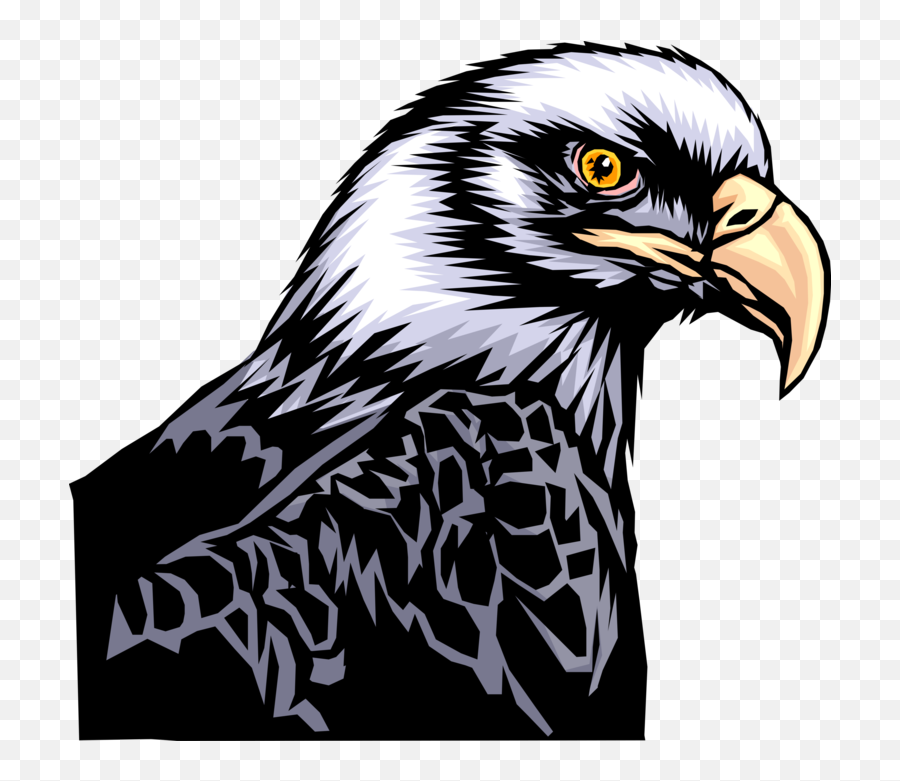 American Bald Eagle - Vector Image Emoji,Hawk Head Clipart