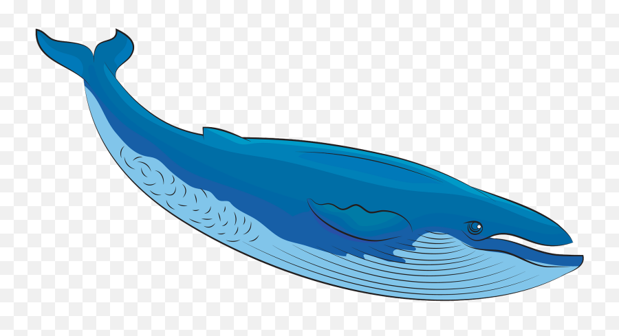 Whale Clipart - Gray Whale Emoji,Whale Clipart
