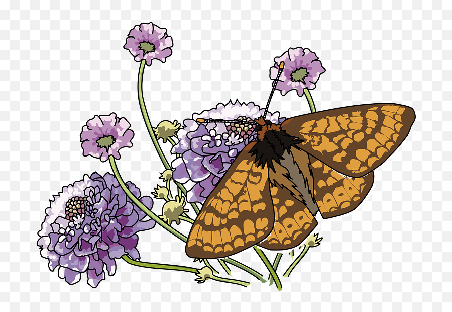 Download Hd Free Butterfly Clip Art - Custom Monarch Purple Flowers And Butterflies Clipart Emoji,Monarch Butterfly Clipart