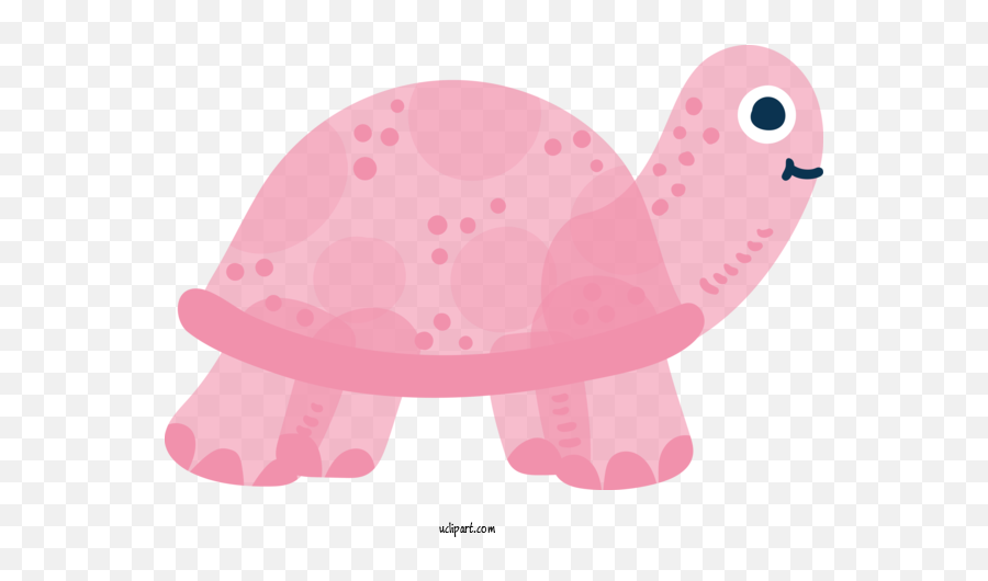 Animals Pink Turtle Cartoon For Turtle - Turtle Clipart Emoji,Turtle Transparent