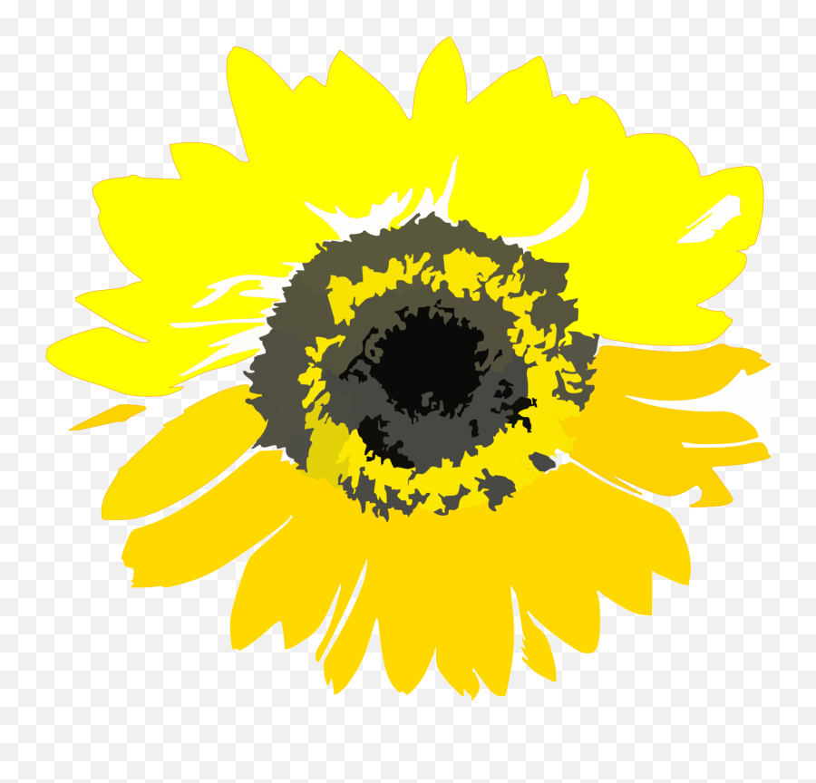 Yellow Sunflower Svg Vector Yellow - Transparent Sunflower Graphic Emoji,Sunflower Clipart Png