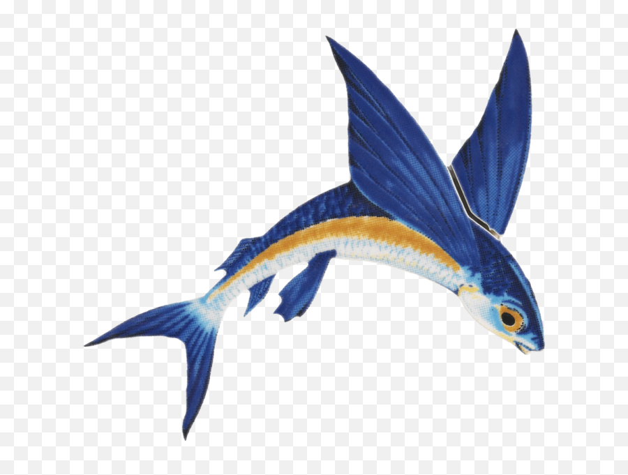 Flying Fish Png Clipart - Full Size Clipart 3275800 Emoji,Fish Png Clipart