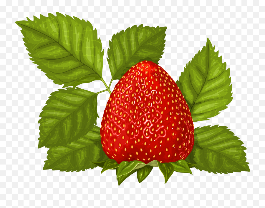 Download Strawberry With Leaves Png Clipart Picture - Transparent Strawberry Leaf Png Emoji,Strawberries Clipart