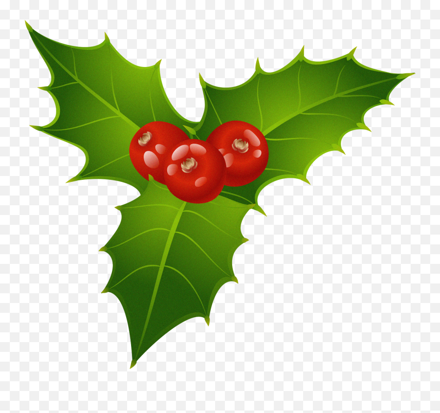 Christmas Mistletoe Png Clipart Christmas Wallpaper Free - Christmas Mistletoe Clipart Emoji,Christmas Clipart
