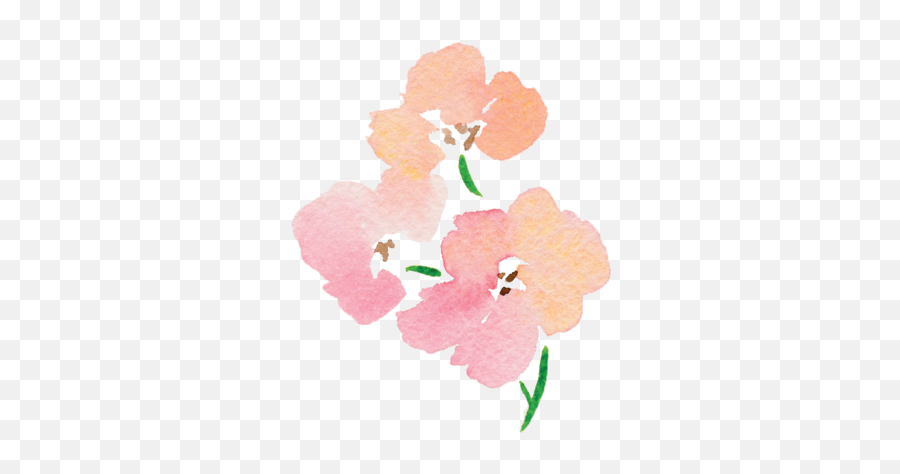 Jenna Rainey Emoji,Water Color Flower Png