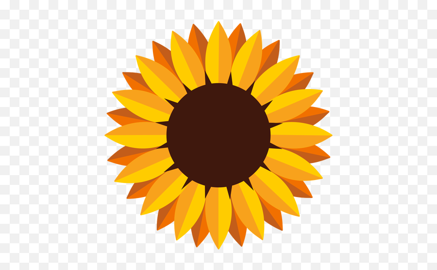 Isolated Sunflower Head Illustration - Girassol Png Emoji,Sunflower Logo