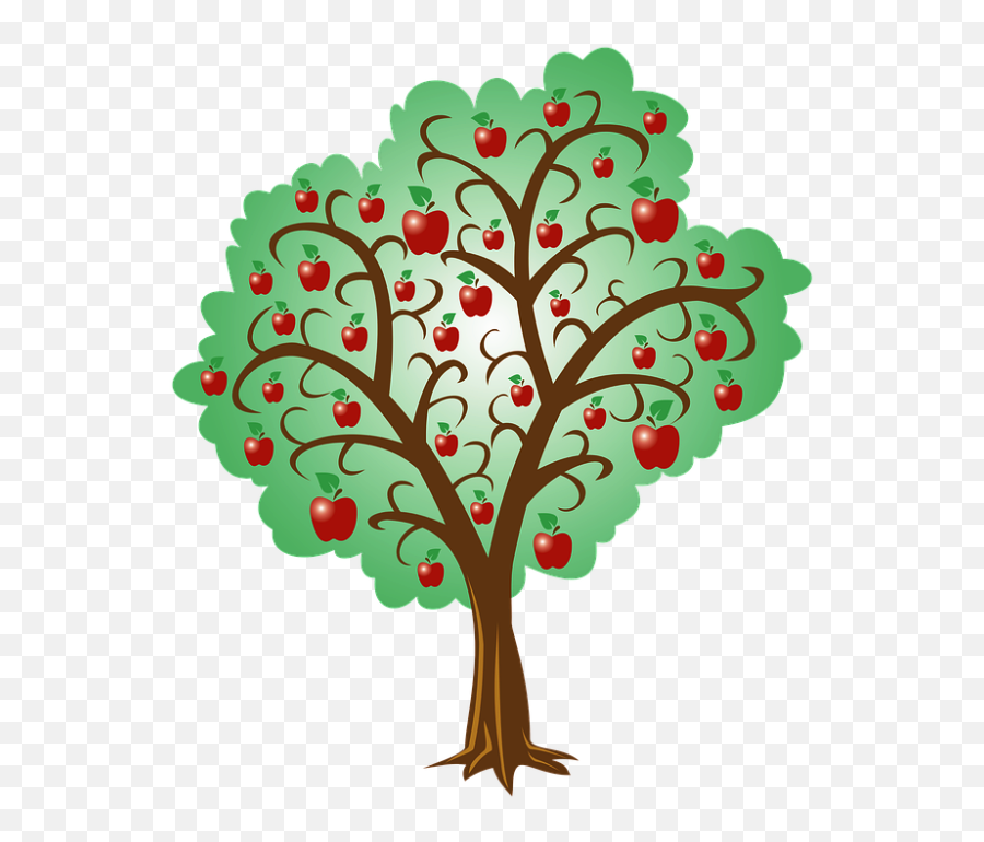 Apple Tree Root System - Copac Cu Mere De Aur Emoji,Tree Roots Png