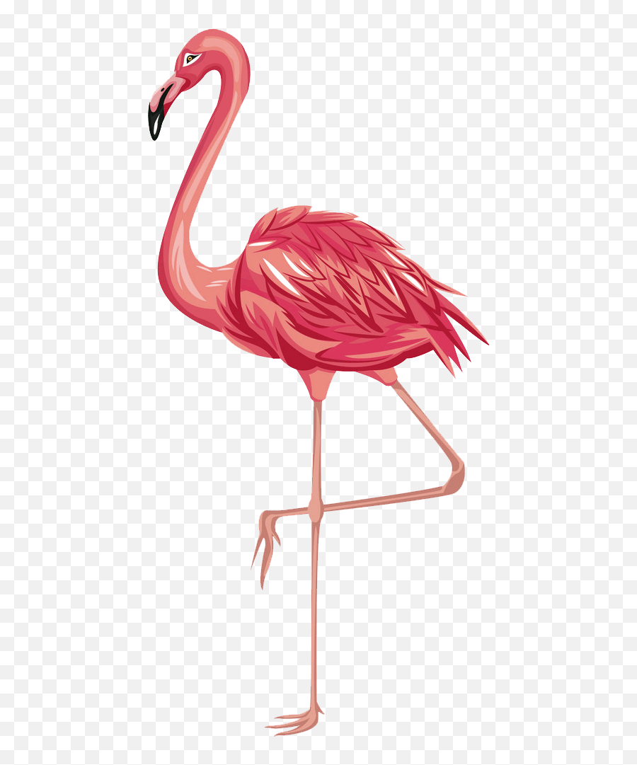 Flamingo Clipart Transparent 1 - Flamingo Vector Emoji,Flamingo Clipart