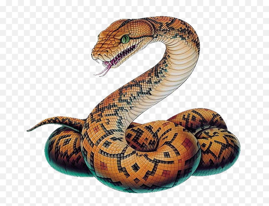 Snake Png Image - Transparent Snake Png Emoji,Snake Png