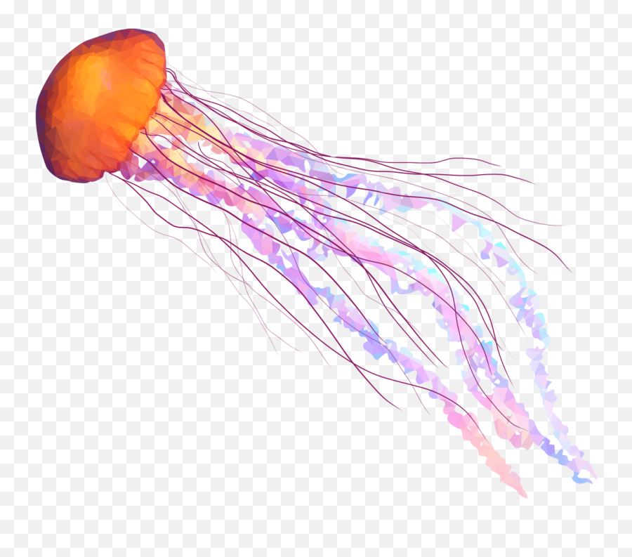 Realistic Printable Jellyfish Clipart - Jellyfish Png Emoji,Jellyfish Clipart
