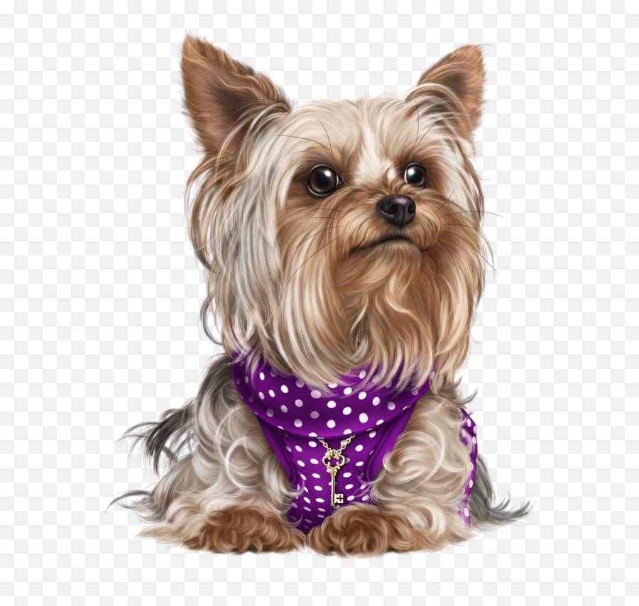 Download Yorky Puppy Images Cute Emoji,Cute Dog Png