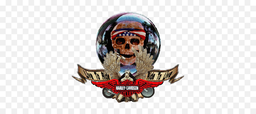 Harley - Davidson Forum Avatar Profile Photo Id 87035 Emoji,Harley Davidson Skull Logo