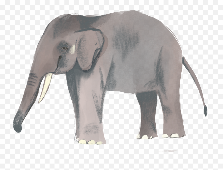 Thanks For Watching - Indian Elephant Full Size Png Emoji,Indian Elephant Clipart