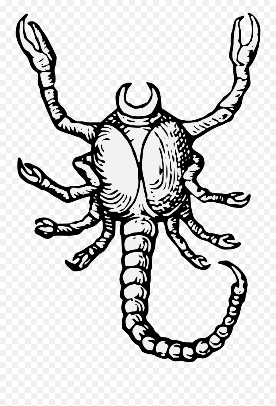 Scorpion - Traceable Heraldic Art Emoji,Scorpion Transparent