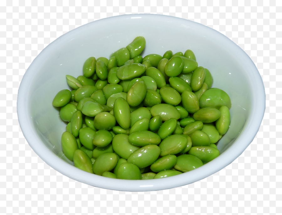 Edamame Bean Seeds Png Clipart - Transparent Lima Beans Png Emoji,Seeds Clipart