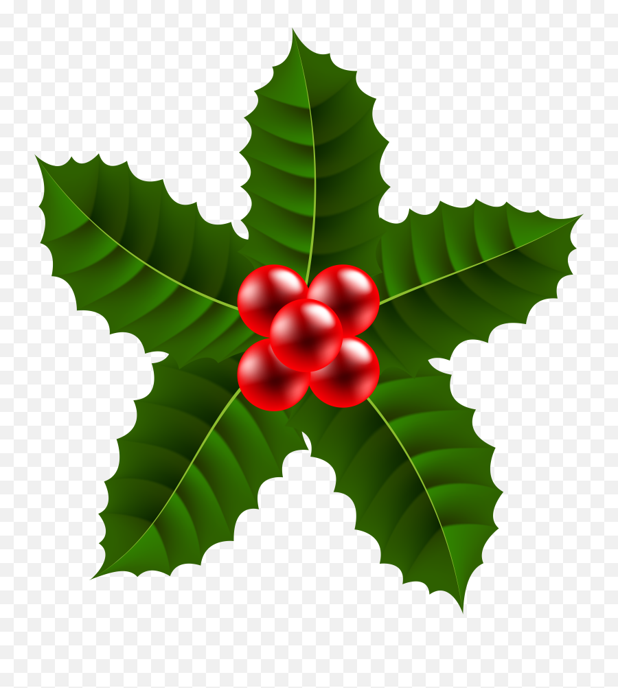 Holly Clipart Holly Flower Holly Holly Flower Transparent Emoji,Holly Clipart