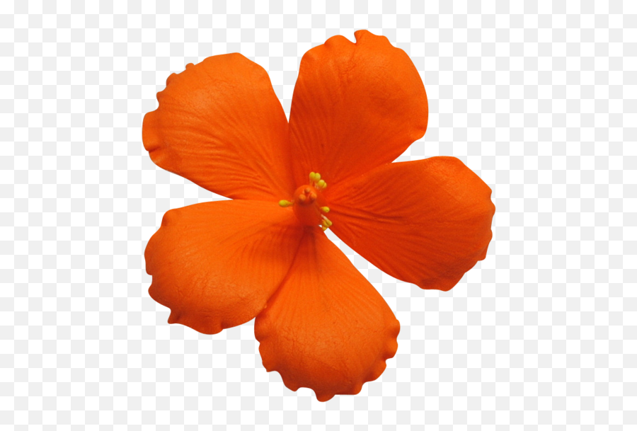 Hibiscus Flower Png - Orange Sugar Flowers Clipart Hawaii Flower Cake Topper Emoji,Hibiscus Flower Clipart
