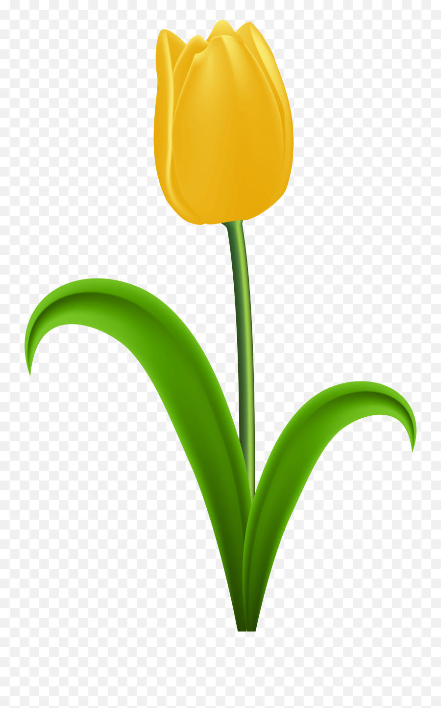 Yellow Tulip - Clipart Yellow Tulips Png Download Full Emoji,Yellow Clipart
