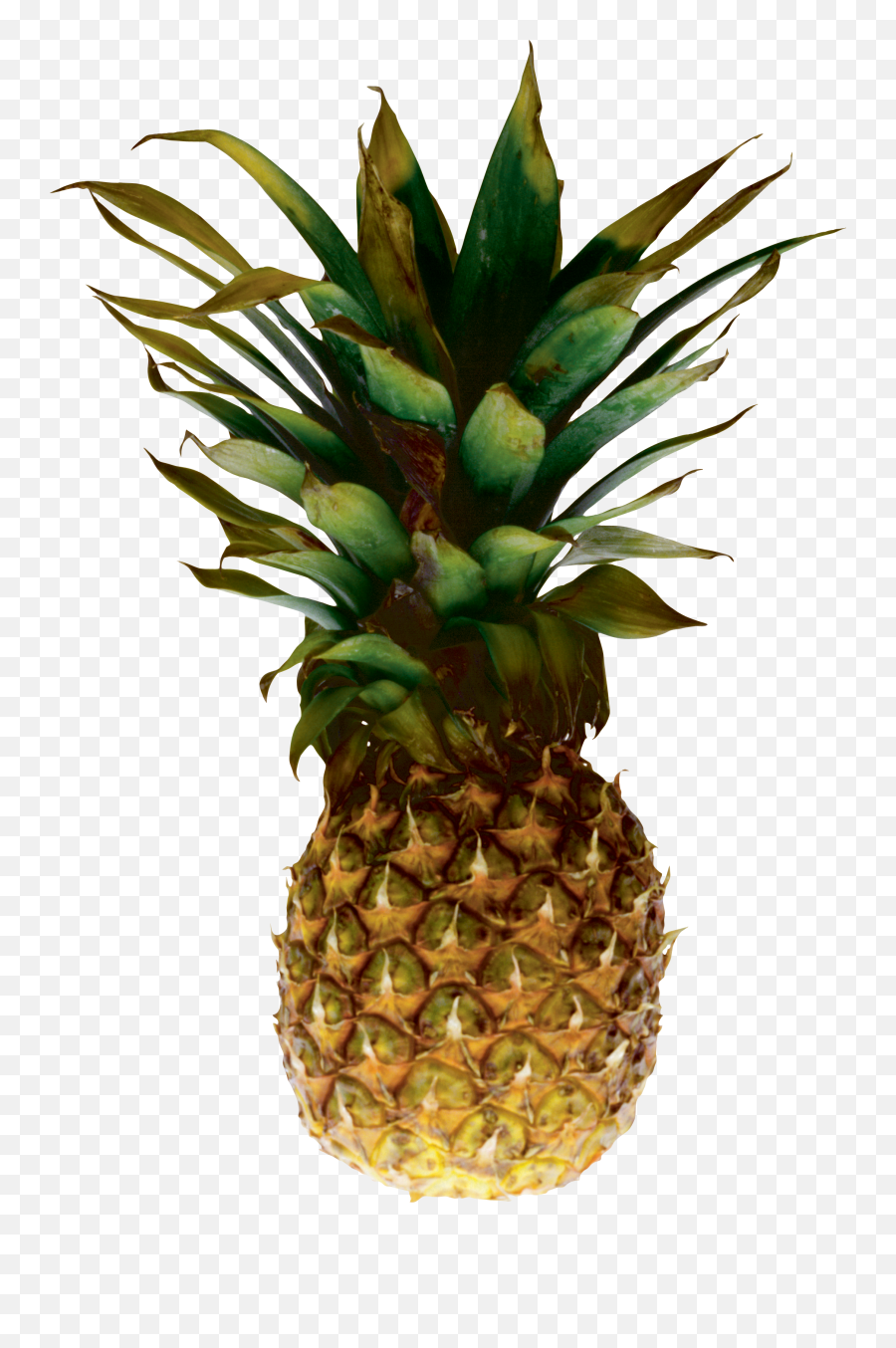 Pineapple Png Image - Pineapple With Transparent Background Emoji,Pineapple Png
