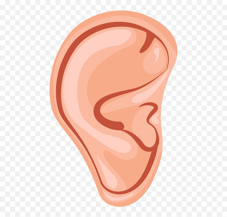 Ear Clipart Transparent 3 - Clipart World Emoji,Clipart Of Ears
