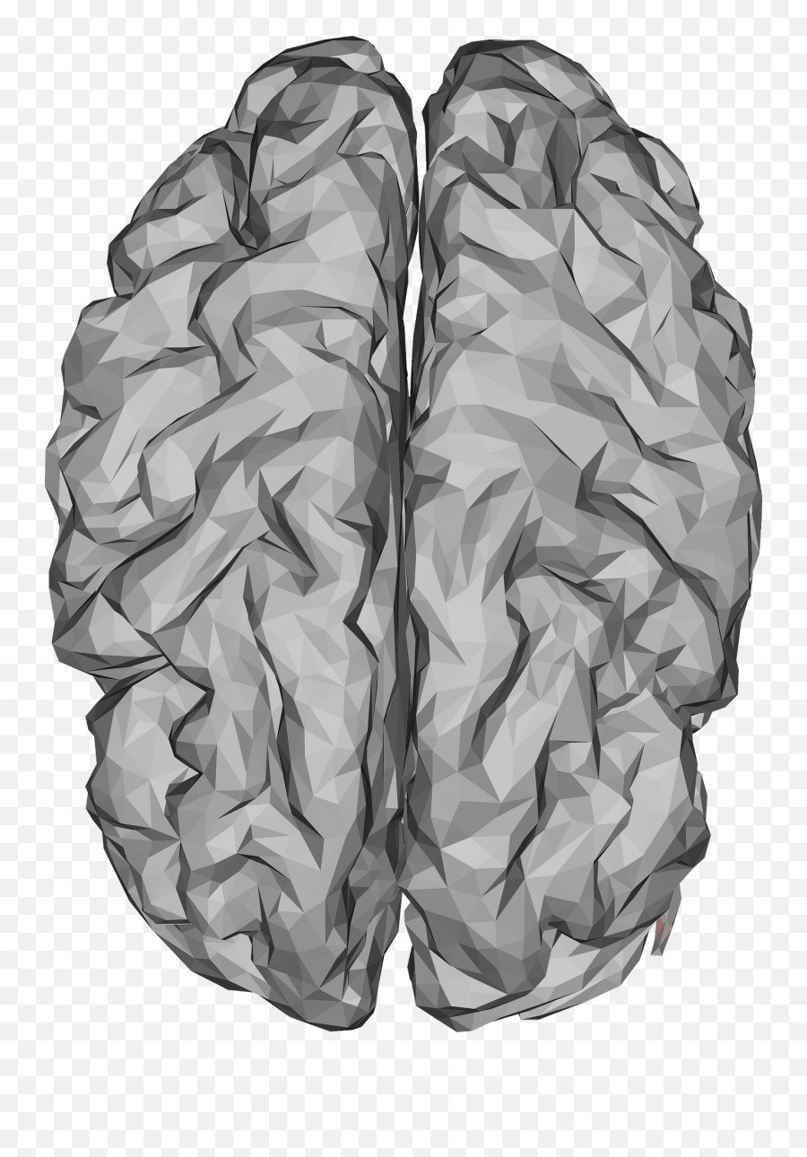 Human Brain Clipart Free Download Transparent Png Creazilla - Brain 3d Model Free Low Poly Emoji,Clipart Brain