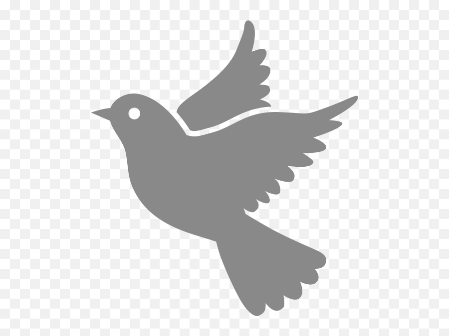 Download Social Change - Dove Transparent Icon Png Image Dove Icon Transparent Background Emoji,Change White Background To Transparent