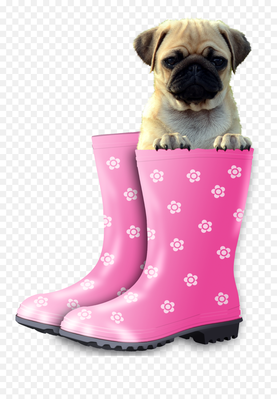 Transparent Dog Png Images Emoji,Cute Dog Png