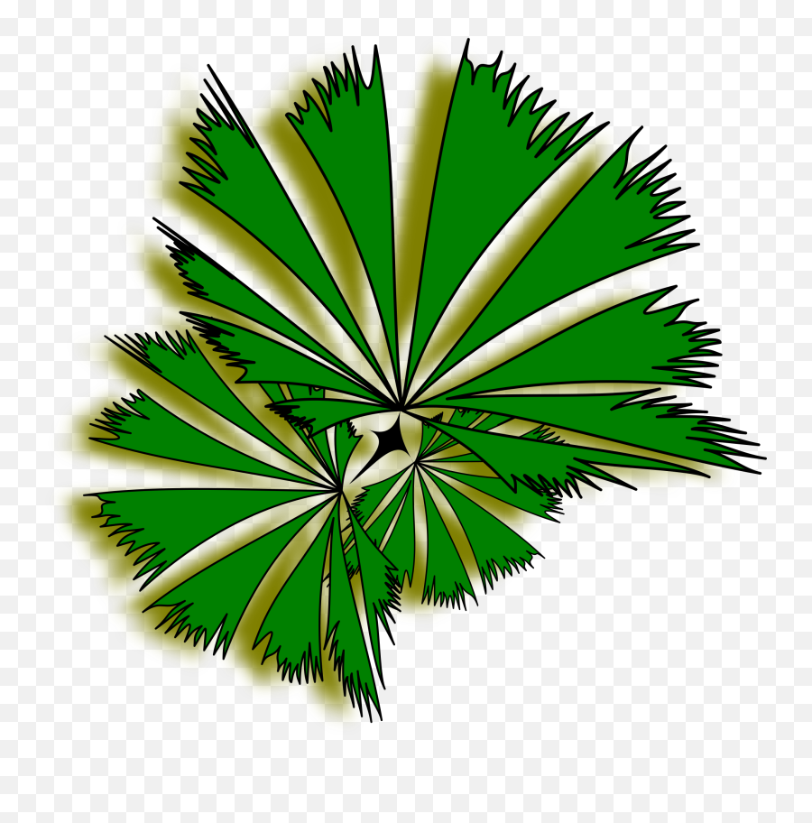 Palm Tree Clipart Top - Language Emoji,Palm Trees Png