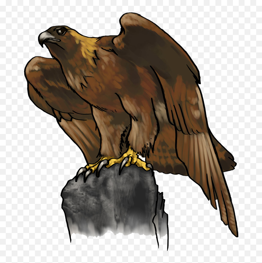 Usm Golden Eagle Clipart - Golden Eagle Emoji,Eagle Clipart