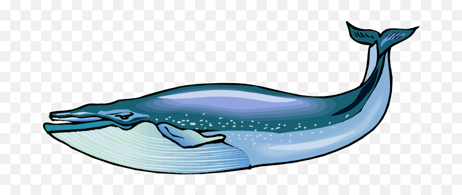 Blue Whale Clipart - Blue Whale Free Clipart Emoji,Whale Clipart