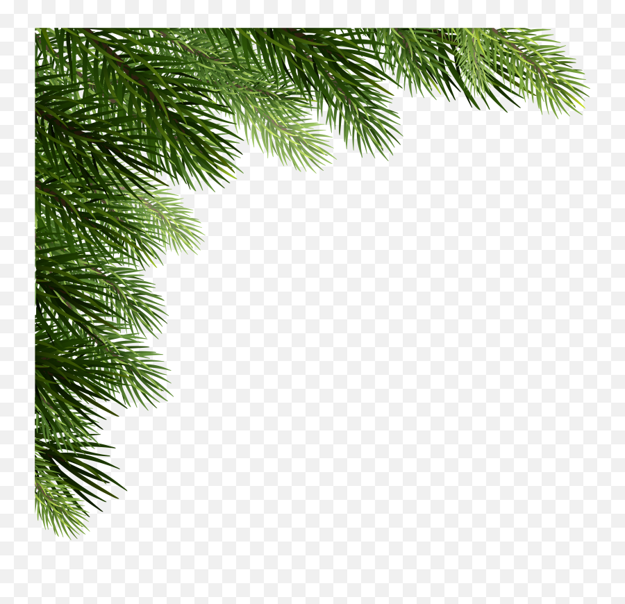 Christmas Pine Png - Corner Christmas Tree Png Transparent Christmas Pine Png Transparent Emoji,Pinecone Clipart