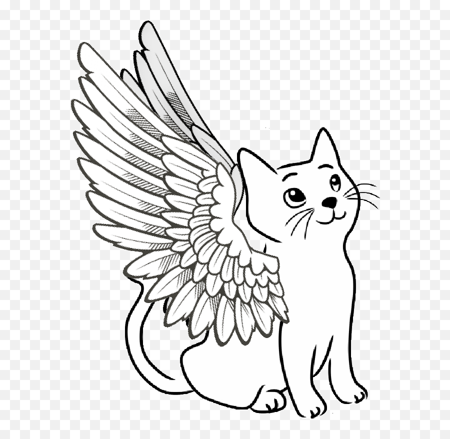 Sheduwinged Cat Line Art Some Pictures Art - Drawing Emoji,Cat Lineart Transparent