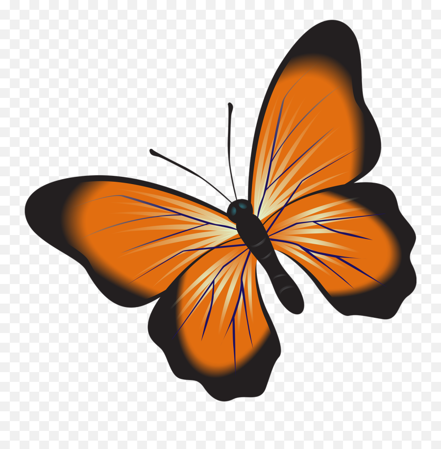 Butterfly Orange Clip Art - Free Image On Pixabay Kupu Kupu Clipart Emoji,Sunset Clipart