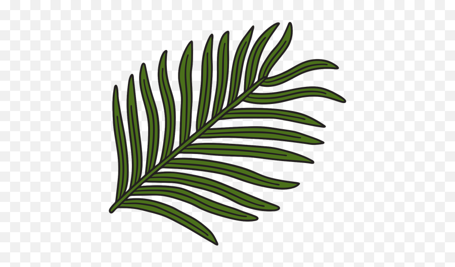 Tropical Leaves Vector U0026 Templates Ai Png Svg Emoji,Jungle Plants Png