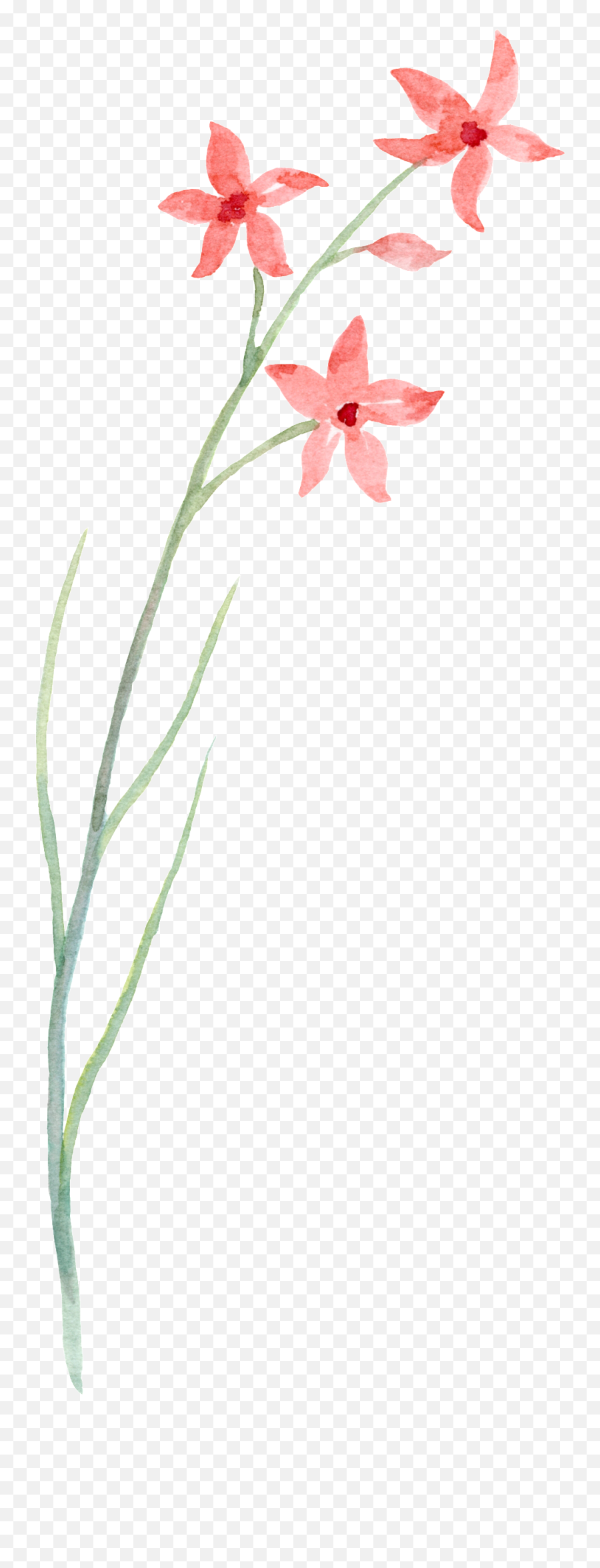 Download Simple Line Floral Transparent Decorative - Flower Emoji,Floral Transparent