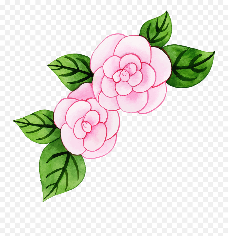 Garden Roses Clipart - Full Size Clipart 5535214 Pinclipart Emoji,Summer Flower Clipart