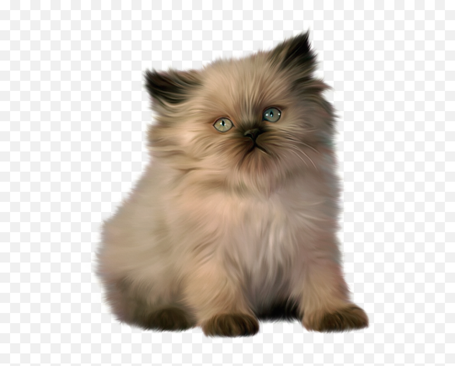 Cute Little Kitty Clipart - Himalayan Persian Cat Emoji,Kitten Clipart