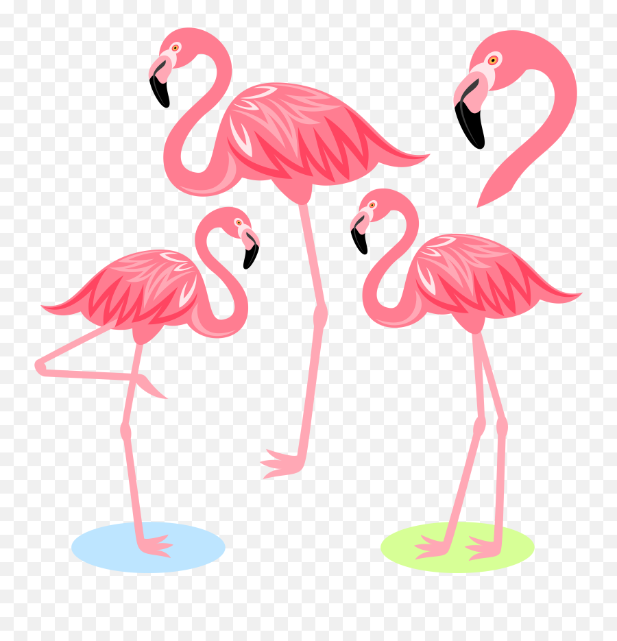 Download Flamingo Bird Illustration - Flamingo Png Emoji,Flamingo Clipart