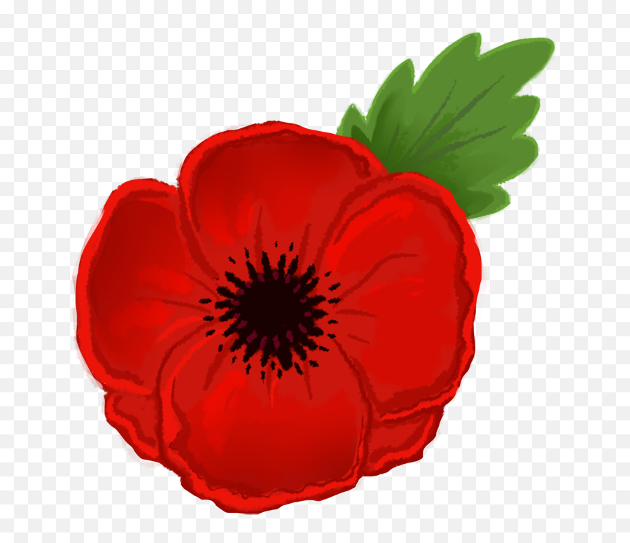 Red Poppy Cliparts Png Images - Poppy Clip Art Emoji,Poppy Flower Clipart